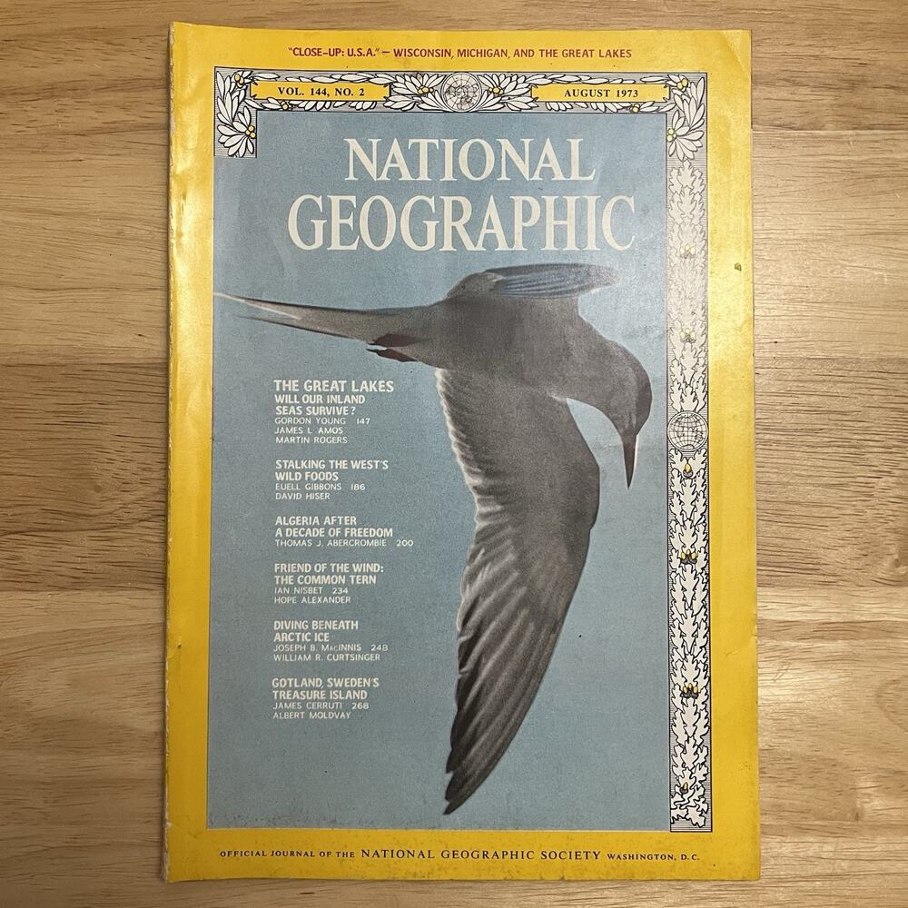 Vintage National Geographic August 1973 Algeria Terns Arctic Dive Gotland Sweden
